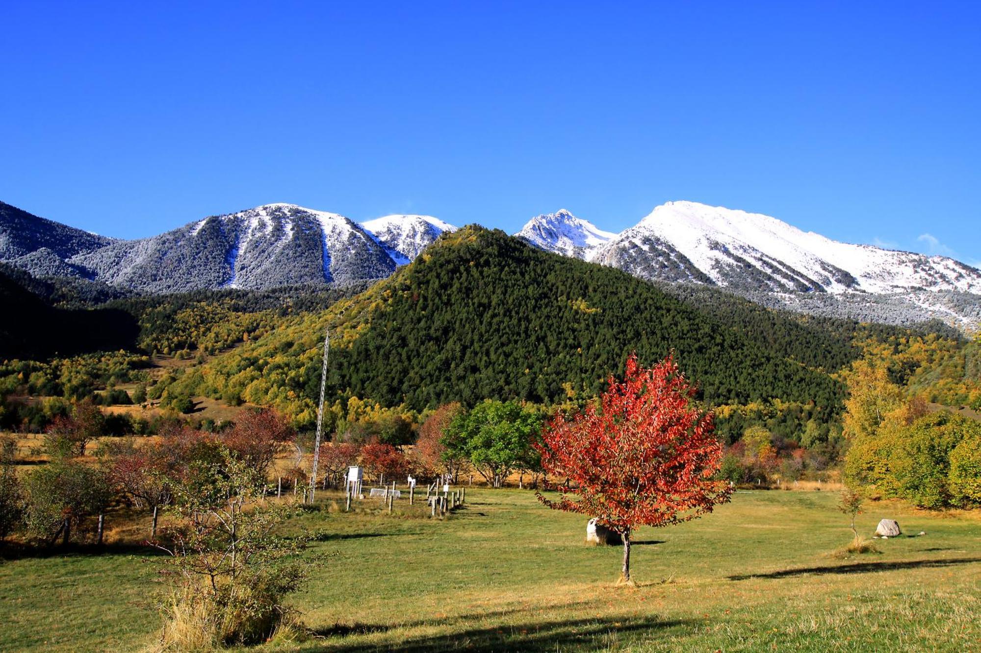 Monnatura Pirineus Son Del Pi 外观 照片